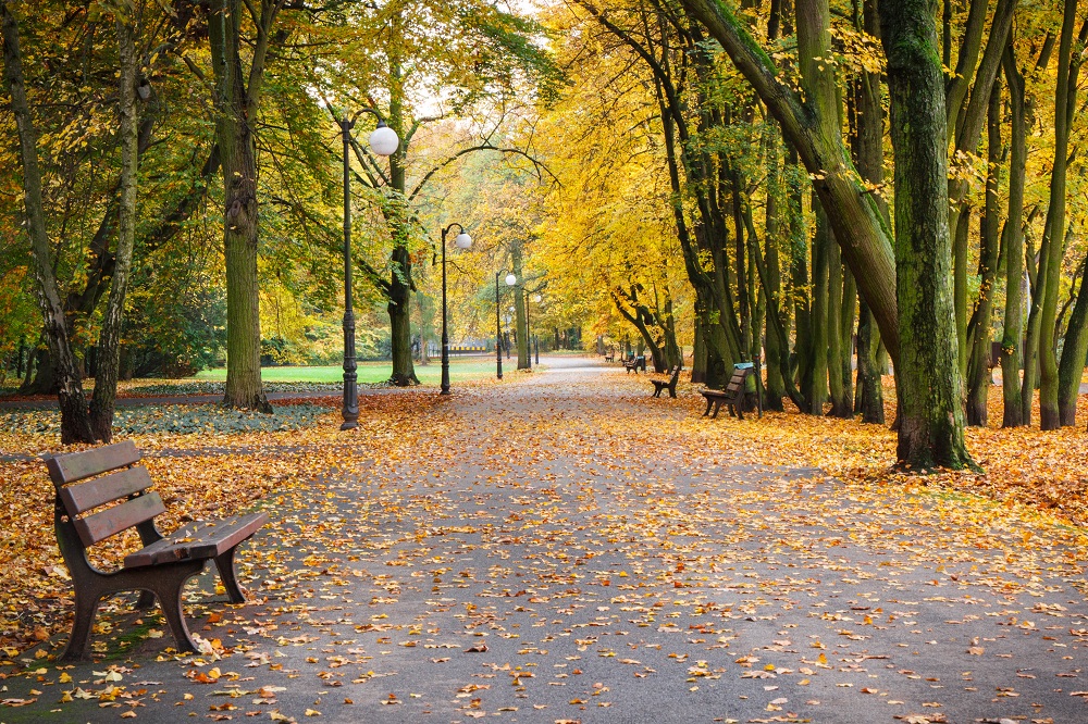 ✓✓ Mobiliario público para parques y jardines