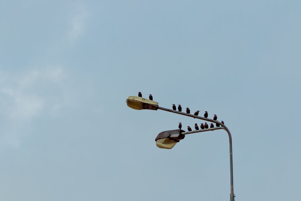 ✓✓ Proyectos de alumbrado público con tecnología LED